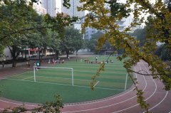 <strong>改为中国人平易近解放军第二步卒学校附</strong>