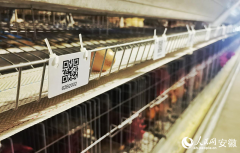 都得益于智能化设备和手艺